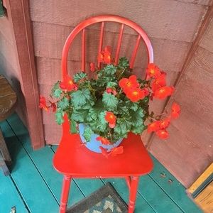 Meet your Posher, Sandy